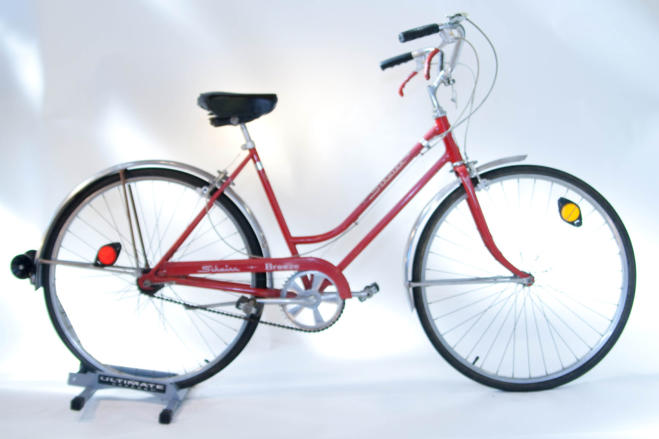 Schwinn Breeze